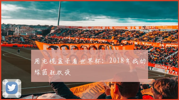 用电视盒子看世界杯：2018年我的绿茵狂欢夜