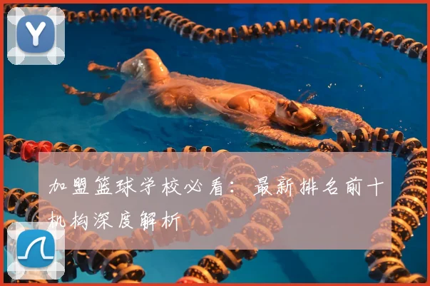 加盟篮球学校必看：最新排名前十机构深度解析