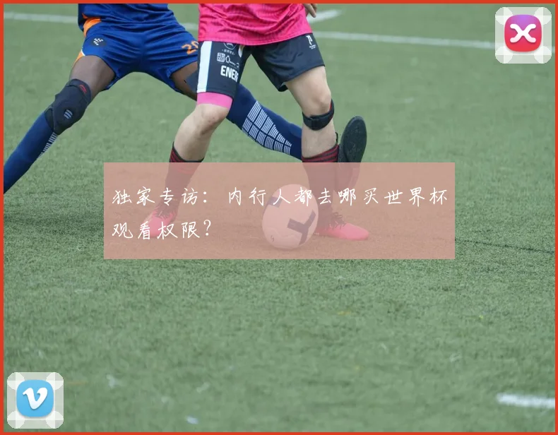 独家专访：内行人都去哪买世界杯观看权限？