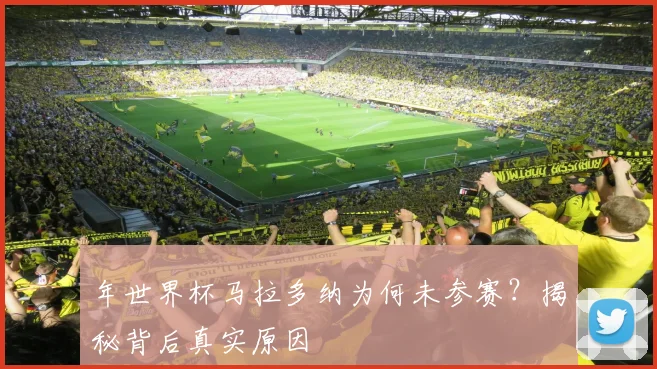 年世界杯马拉多纳为何未参赛？揭秘背后真实原因