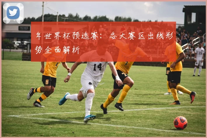 年世界杯预选赛：各大赛区出线形势全面解析