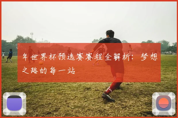 年世界杯预选赛赛程全解析：梦想之路的每一站