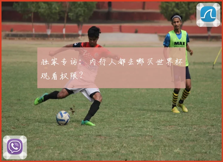 独家专访：内行人都去哪买世界杯观看权限？