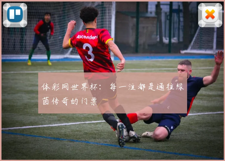 体彩网世界杯：每一注都是通往绿茵传奇的门票